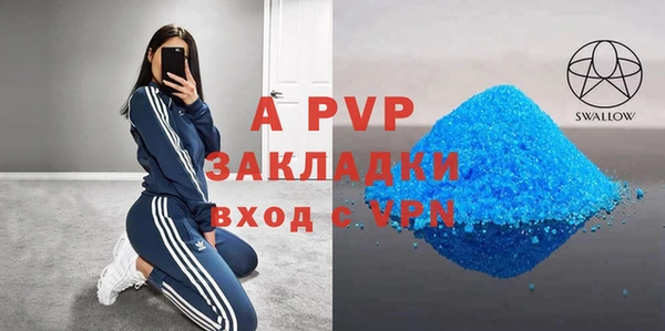 прущие грибы Вязники